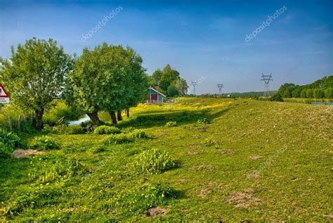 Beautiful Farm Landscape With Trees And Grass Fields