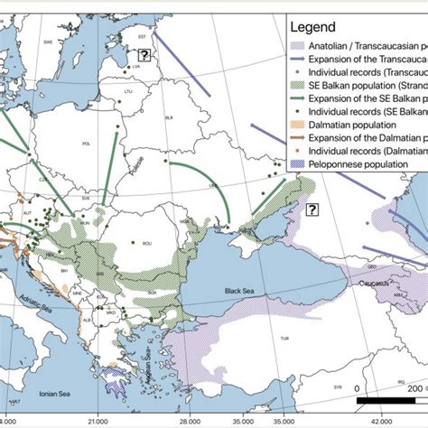 Approximate Distribution Of The Golden Jackal In Europe At The