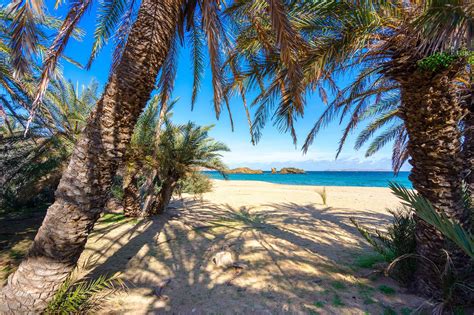 Experience Greece At Its Best By Visiting Vai Beach On Crete