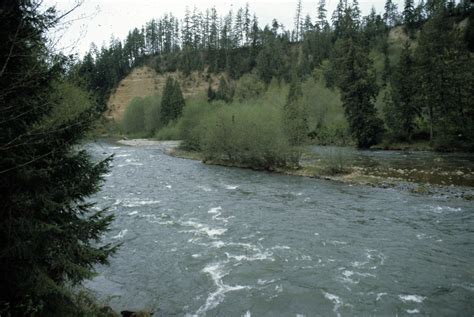 New Washington State Park In The Works Along Nisqually River Knkx