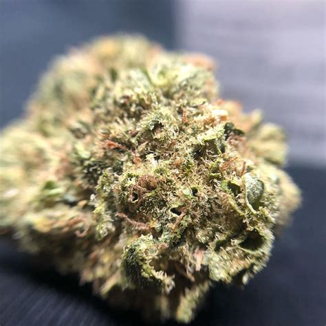 Strain Review: Super Silver Haze by TruFlower - The Highest Critic
