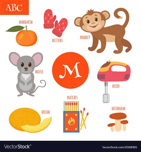 The letter m words with pictures are given here. Letter M Cartoon alphabet for children Monkey Vector Image