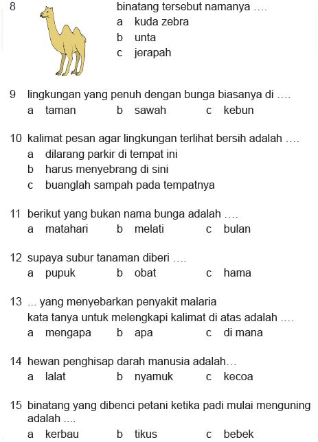 Soal Latihan Bahasa Indonesia kelas 2 SD ~ Pelajaran Indonesia