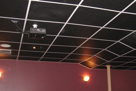 Painted Black Mineral Ceiling Intersource Specialties Co