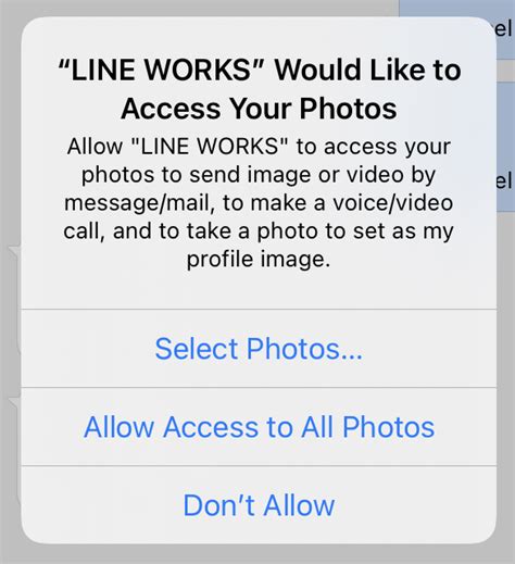 Allow The App To Access Your Device Photos Settings Line Works Help