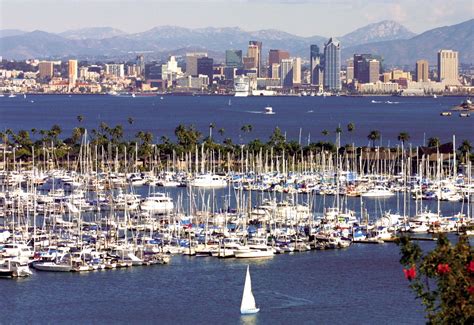 San Diego Harbor Cruises Boat Tours And Whale Watching Excursions