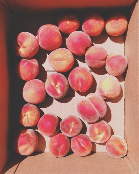 Peachy B For Balleza Vsco Grid Peach Aesthetic Peachy Fruit