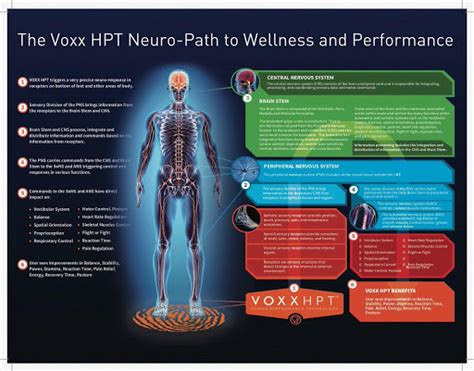 Voxxlife Human Performance Technology Reboot Neurology In 7 Seconds