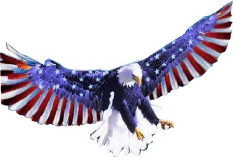 Top 73 Imagen Aguila Americana Png Abzlocalmx