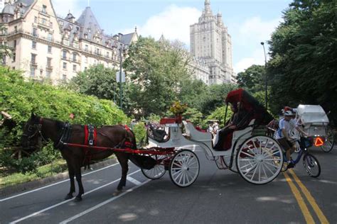 New York City Romantic Central Park Carriage Ride Getyourguide