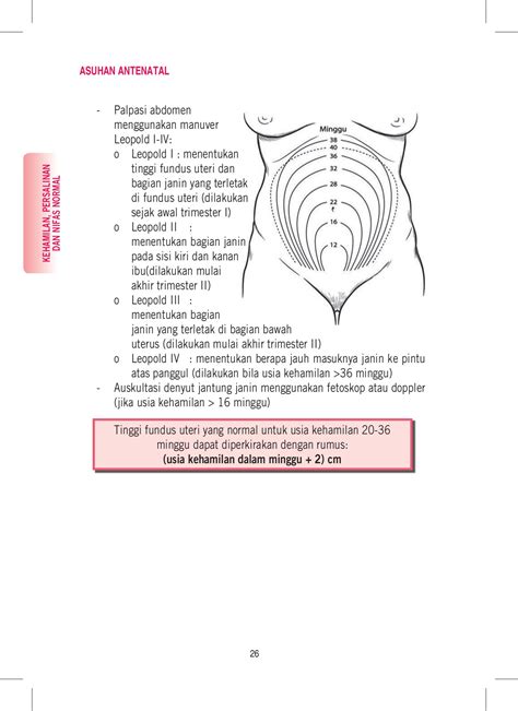 buku saku pelayanan kesehatan ibu - mhkn ebook7 - Halaman 48 | PDF