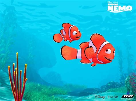 Nemo Fish Wallpapers Wallpaper Cave