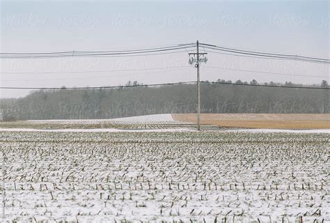 Rural Country Road In Winter Del Colaborador De Stocksy Raymond