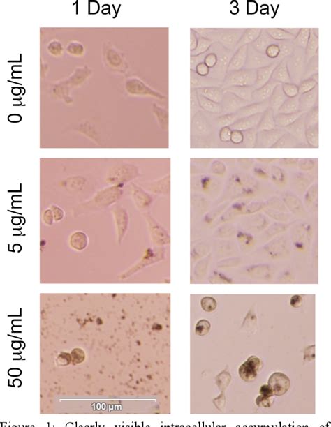 Figure 1 From Effect Of Carbon Nanotubes On Chinese Hamster Ovarian