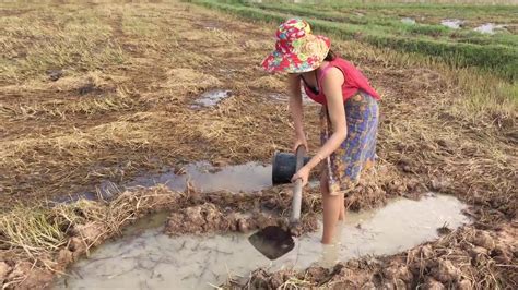 Mantap Gadis Desa Tangkap Ikan Di Sawah 2 Youtube