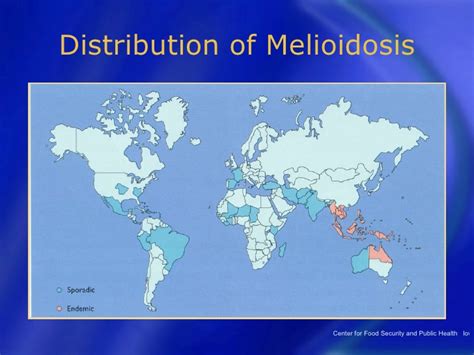 A potentially life threatening infection. Melioidosis