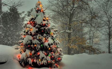 42 Christmas Tree Snow Wallpaper Wallpapersafari