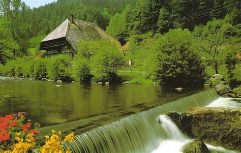 Black Forest Germany Black Forest Germany Black Forest Germany