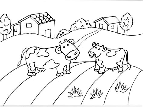 Desenhos de Vaquinhas para colorir - Desenhos Para Colorir