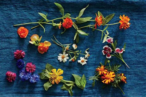 5 Edible Flowers To Know About This Spring Southern Living