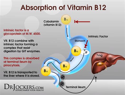 Warning Signs Of A B12 Deficiency Vitamin B12 B12 Deficiency