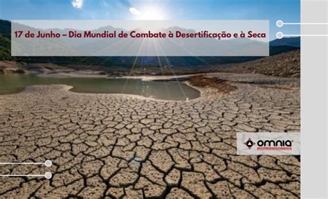 17 De Junho Dia Mundial De Combate à Desertificação E à Seca Omnia
