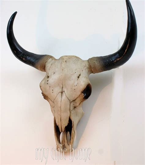 Buffalo Skull Replica Bull Skulls Buffalo Skull Skull