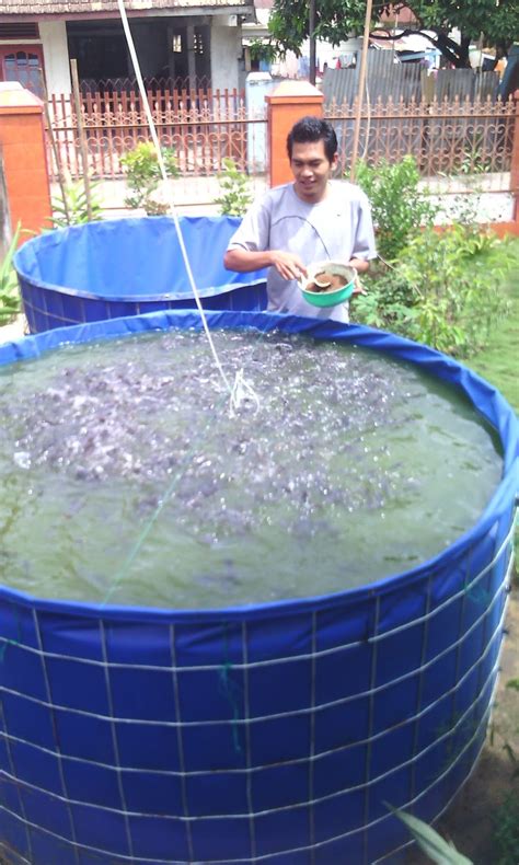 Cara Budidaya Ikan Lele Di Kolam Bundar Palembang Jual Kolam Bundar