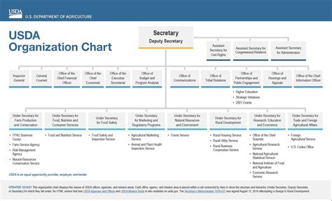 Government Agency Organizational Chart Best Practices The Complete
