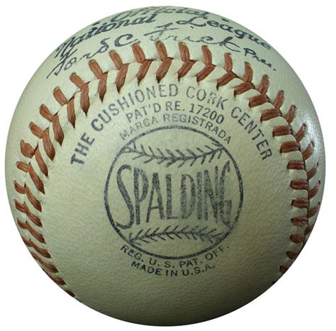 Spalding Baseball Day 2018