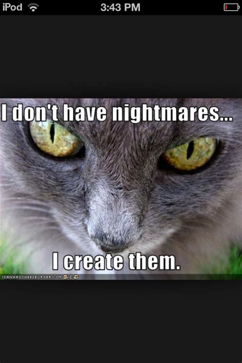 Pin By Esther Standley On Funny Evil Cat Really Funny Pictures