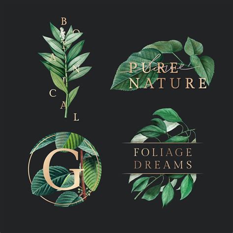 Tropical Botanic Logo Collection Illustration Premium Image By