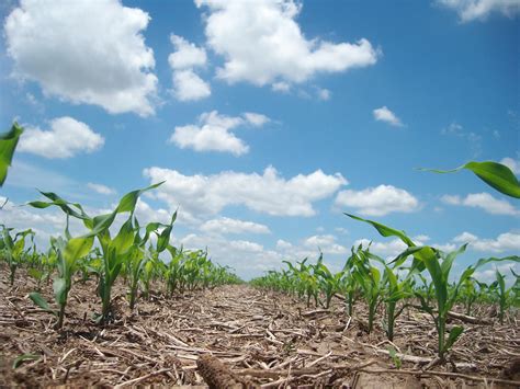 What Is Happening To Our Soil? - Impakter
