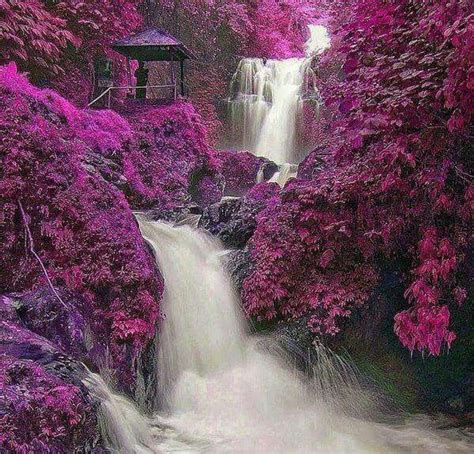 Pin By Mary Edwards On Purple Passion Waterfall Beautiful Waterfalls