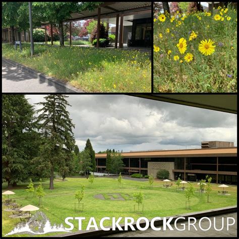 Hp Corvallis Oregon Campus Stack Rock Group Landscape Architecture