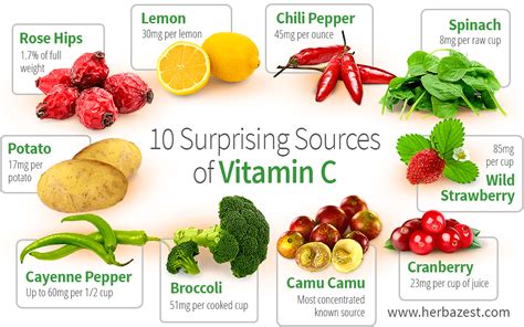 Surprising Sources Of Vitamin C Herbazest