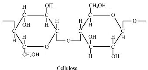 Structure Of Cellulose Download Scientific Diagram