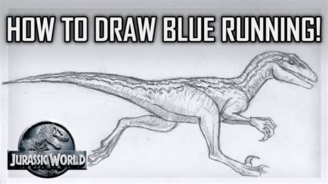How To Draw Blue The Velociraptor Jurassic World Youtube
