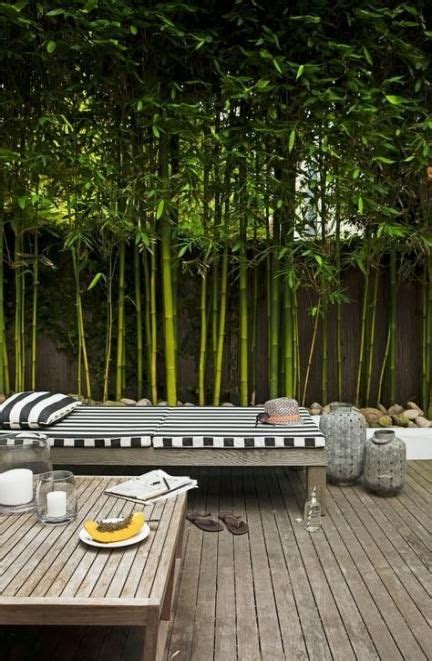 24 Ideas Balcony Privacy Screen Diy Yards For 2019 Tropical Garden