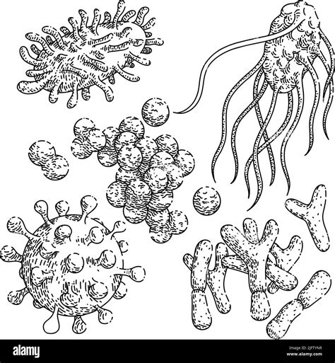 Bacteria Virus Set Sketch Hand Drawn Vector Stock Vector Image And Art