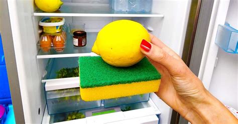 Pourquoi Faut Il Mettre Une éponge Imbibé De Jus De Citron Au Réfrigérateur