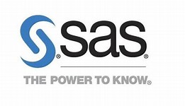 Image result for sas logo