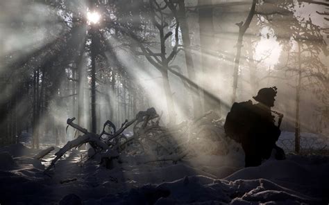 Wallpaper Forest Soldier Sun Rays Military Darkness Screenshot