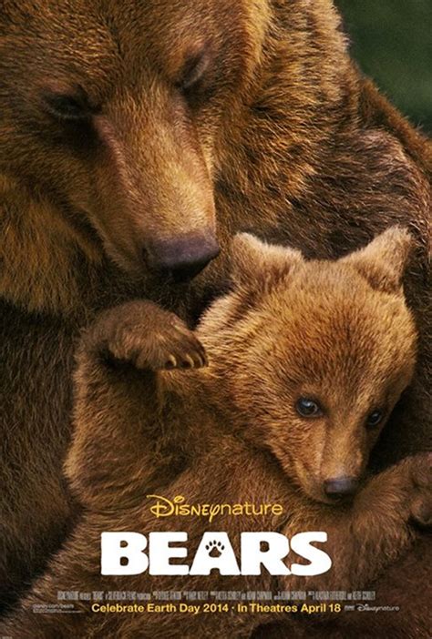 Nature Documentary Gives A Behind The Scenes Look At ‘bears The Source