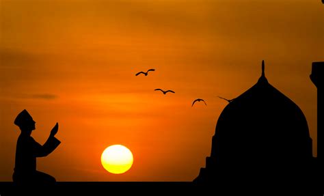 Fotos Gratis Islámico Oración Oscuridad Hombre Pájaro Santo Fe