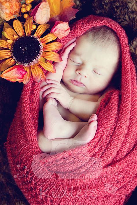 Newborn And Baby Photographer Orangeville Ontario Kidlets Photography