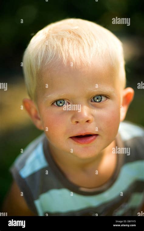 Portrait Of A Little Boy Stock Photo Alamy