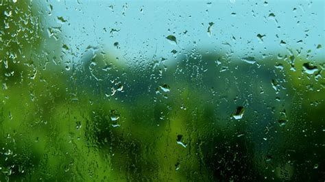 Download Free Photo Of Raindropsrain Dropspanethe Background From