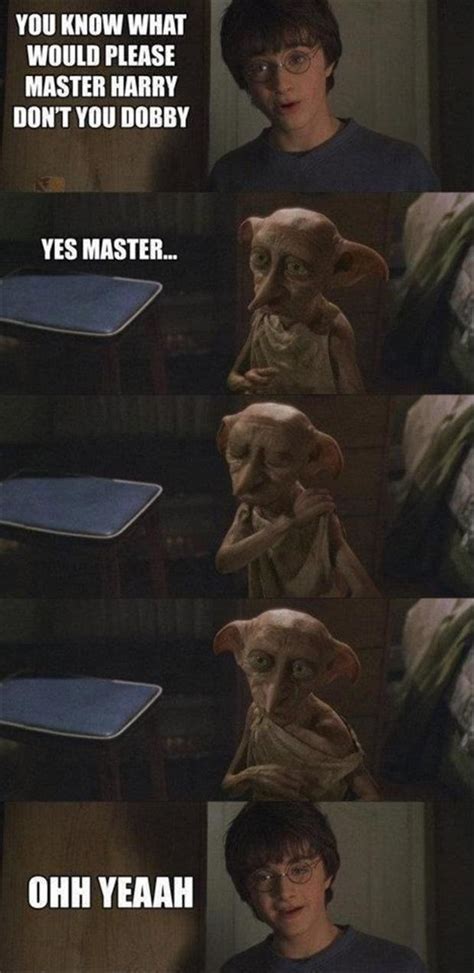 Funny Harry Potter Dobby Dump A Day