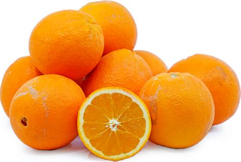 Washington Navel Oranges Information And Facts